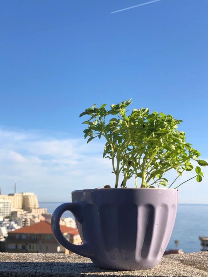 Studio Apartmani Lemon Μπούντβα Εξωτερικό φωτογραφία